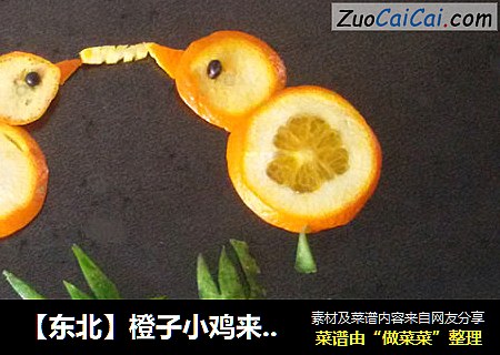 【东北】橙子小鸡来拜年