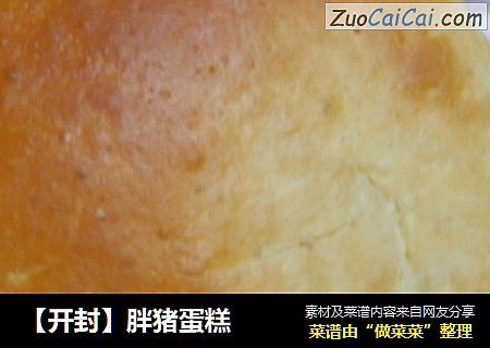［开封］胖猪蛋糕