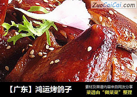 【广东】鸿运烤鸽子