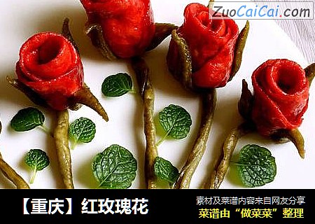 【重庆】红玫瑰花