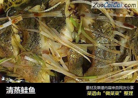 清蒸鲑鱼