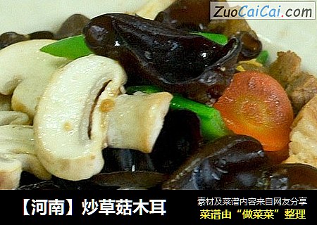 【河南】炒草菇木耳