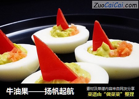 牛油果——扬帆起航
