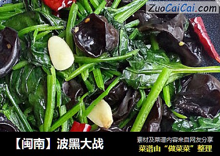 【闽南】波黑大战