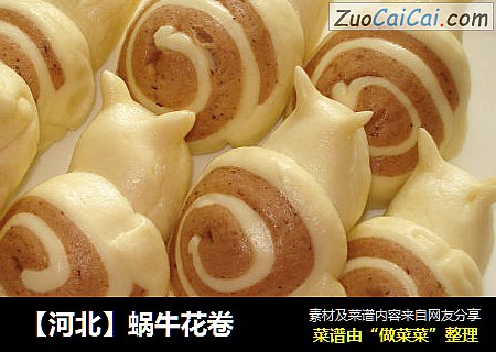 【河北】蜗牛花卷