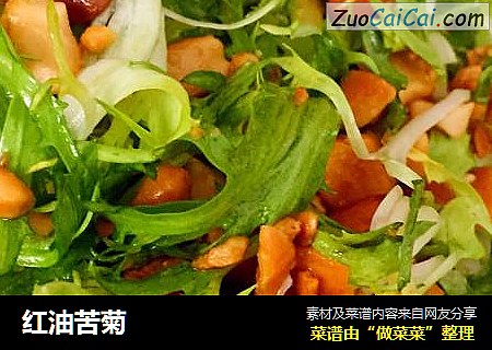 红油苦菊