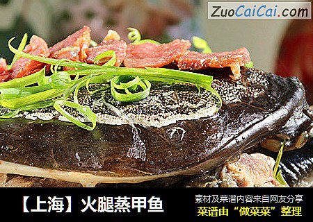 【上海】火腿蒸甲鱼