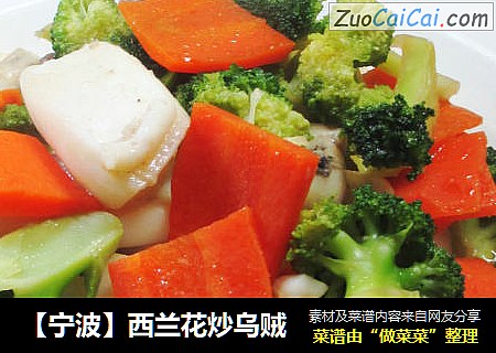 【宁波】西兰花炒乌贼