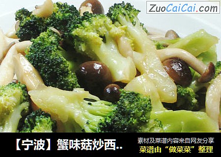 【宁波】蟹味菇炒西兰花