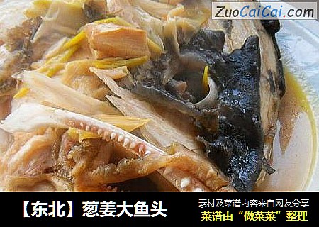 【东北】葱姜大鱼头
