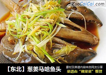 【东北】葱姜马哈鱼头