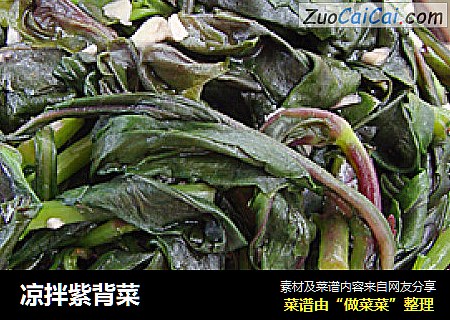 凉拌紫背菜
