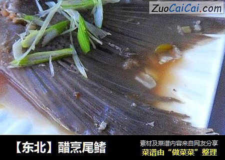 醋烹尾鳍
