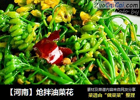 【河南】炝拌油菜花