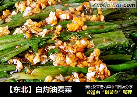 【东北】白灼油麦菜