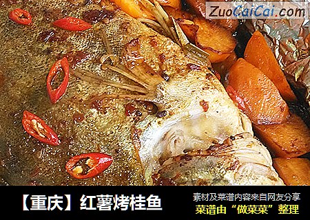 【重庆】红薯烤桂鱼