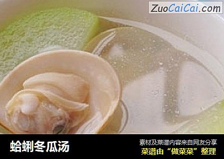 蛤蜊冬瓜汤