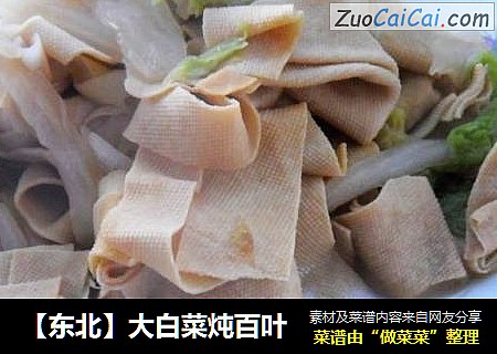 【东北】大白菜炖百叶
