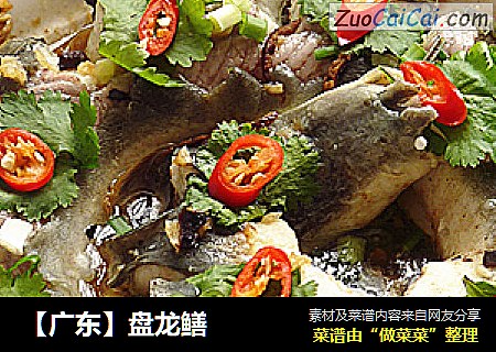 【广东】盘龙鳝