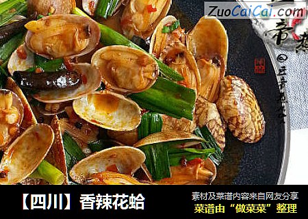 【四川】香辣花蛤
