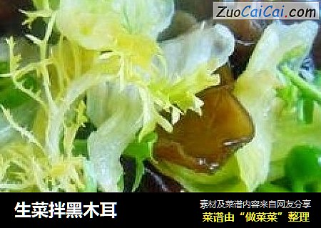 生菜拌黑木耳