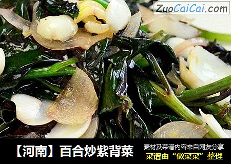 【河南】百合炒紫背菜