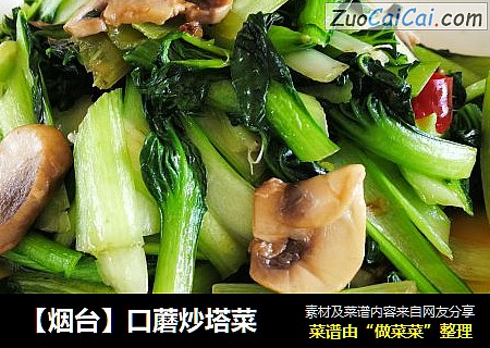 【烟台】口蘑炒塔菜