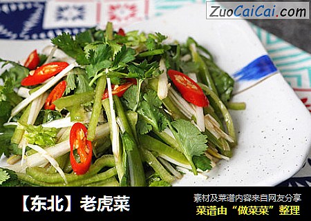 【东北】老虎菜