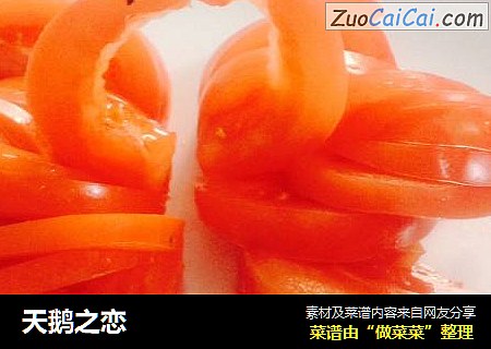 天鹅之恋