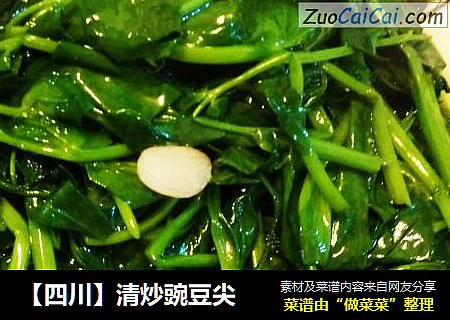 【四川】清炒豌豆尖