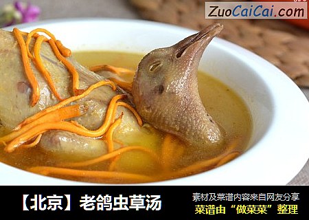 【北京】老鸽虫草汤