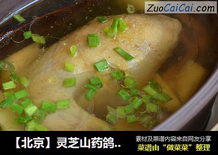 【北京】灵芝山药鸽子汤