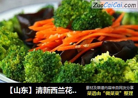 【山东】清新西兰花拌木耳