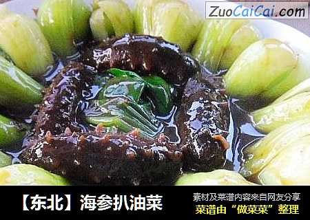 【东北】海参扒油菜