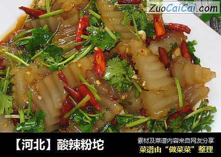 【河北】酸辣粉坨