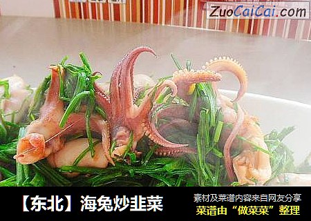 【东北】海兔炒韭菜