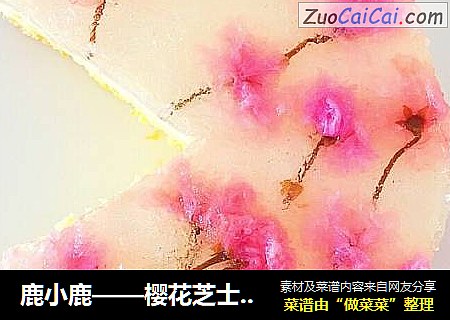 鹿小鹿——樱花芝士蛋糕