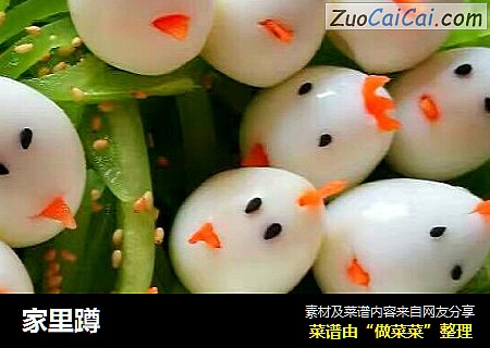 家里蹲