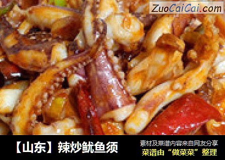 【山东】辣炒鱿鱼须