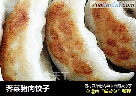 荠菜猪肉饺子