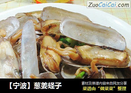 【宁波】葱姜蛏子