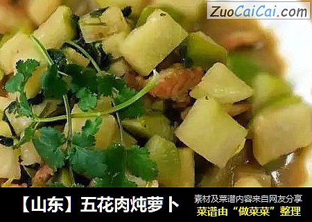 【山东】五花肉炖萝卜