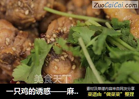 一只鸡的诱惑——麻辣鸡