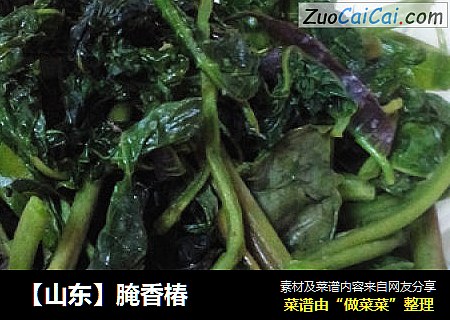 【山东】腌香椿