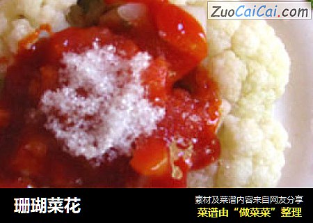 珊瑚菜花