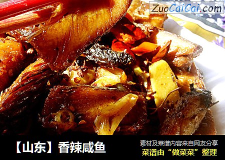 【山东】香辣咸鱼