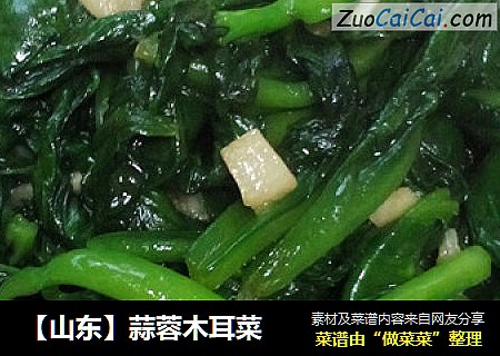 【山东】蒜蓉木耳菜