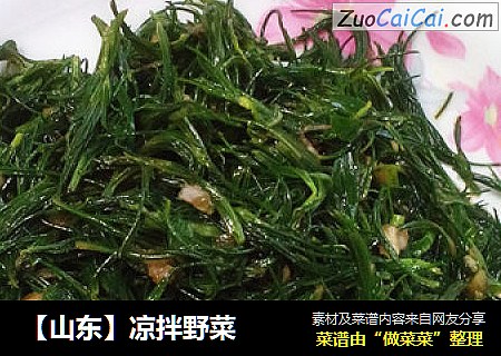 【山东】凉拌野菜