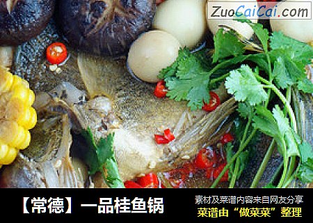 【常德】一品桂鱼锅