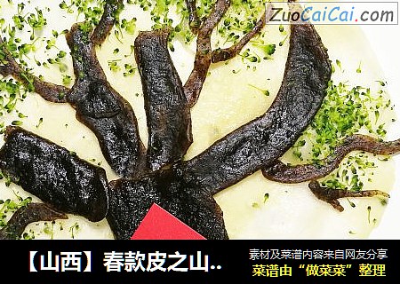 【山西】春款皮之山西洪洞大槐树